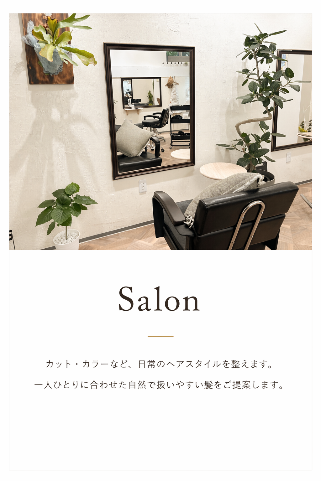 Salon